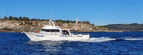 reef fishing charters sydney|Wahoo Fishing Charters Sydney Harbour .